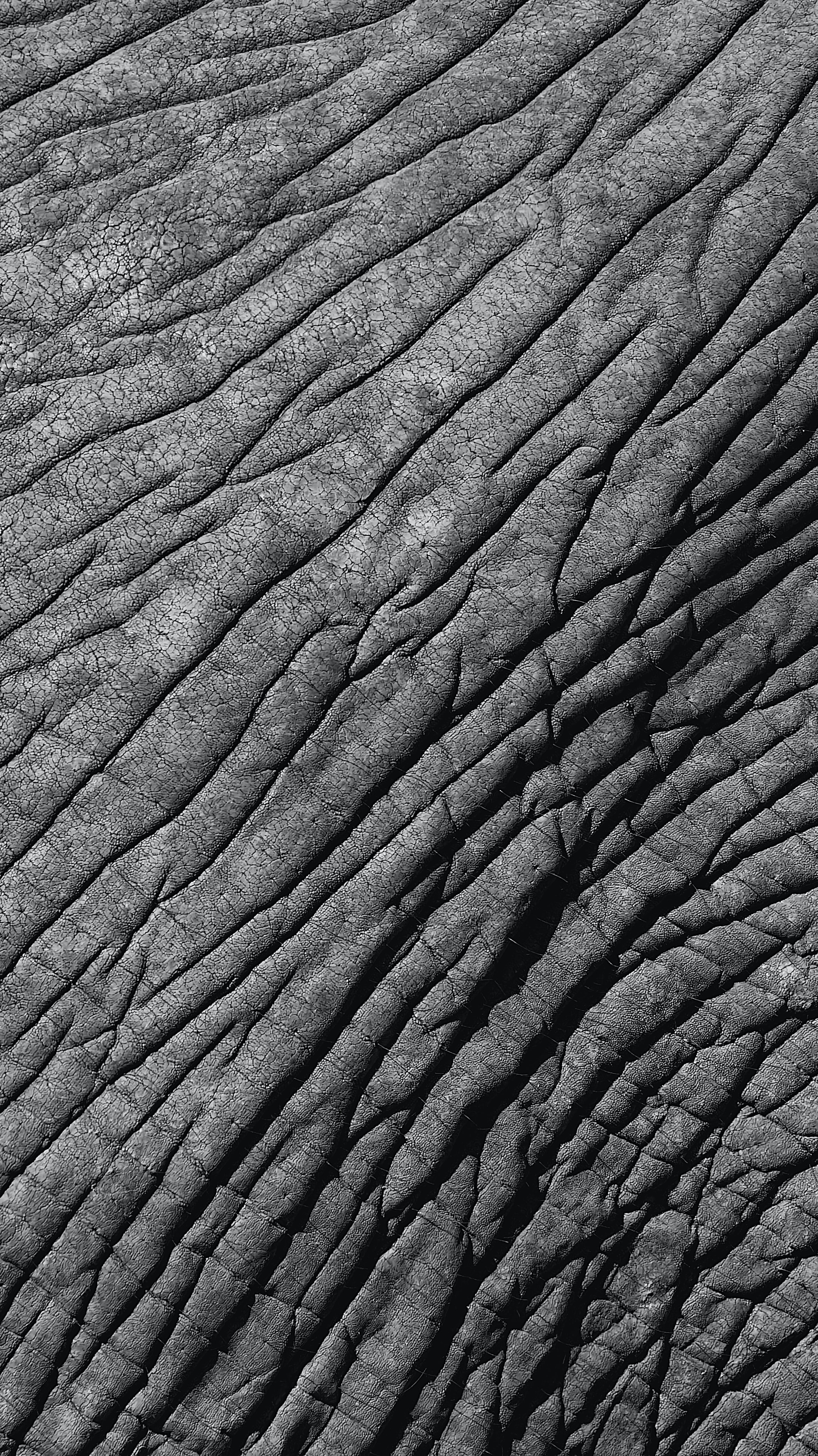 Elephant Skin HD Iphone Android Wallpaper - by Rocky