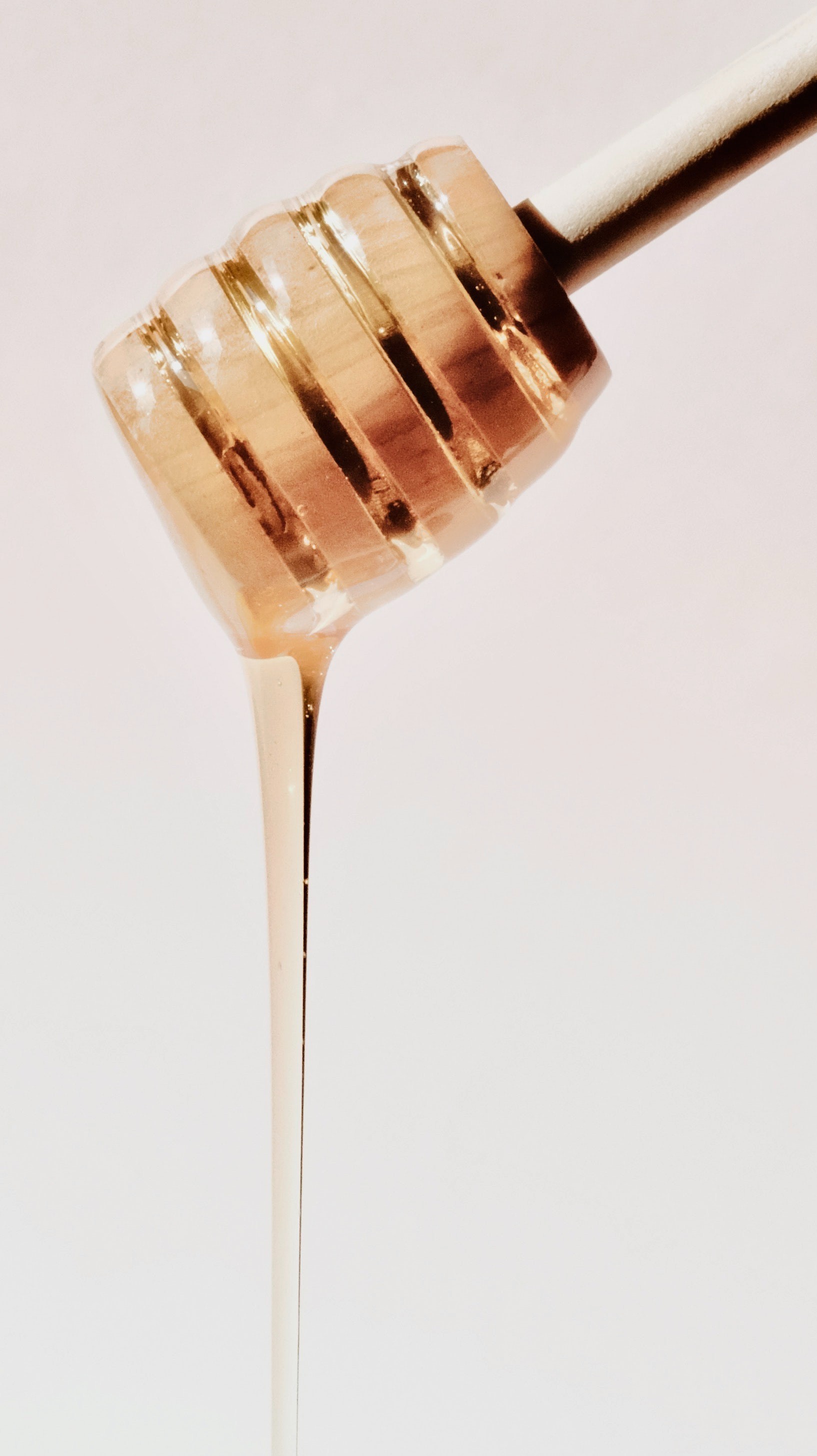 Honey HD Iphone Android Wallpaper - by Rocky