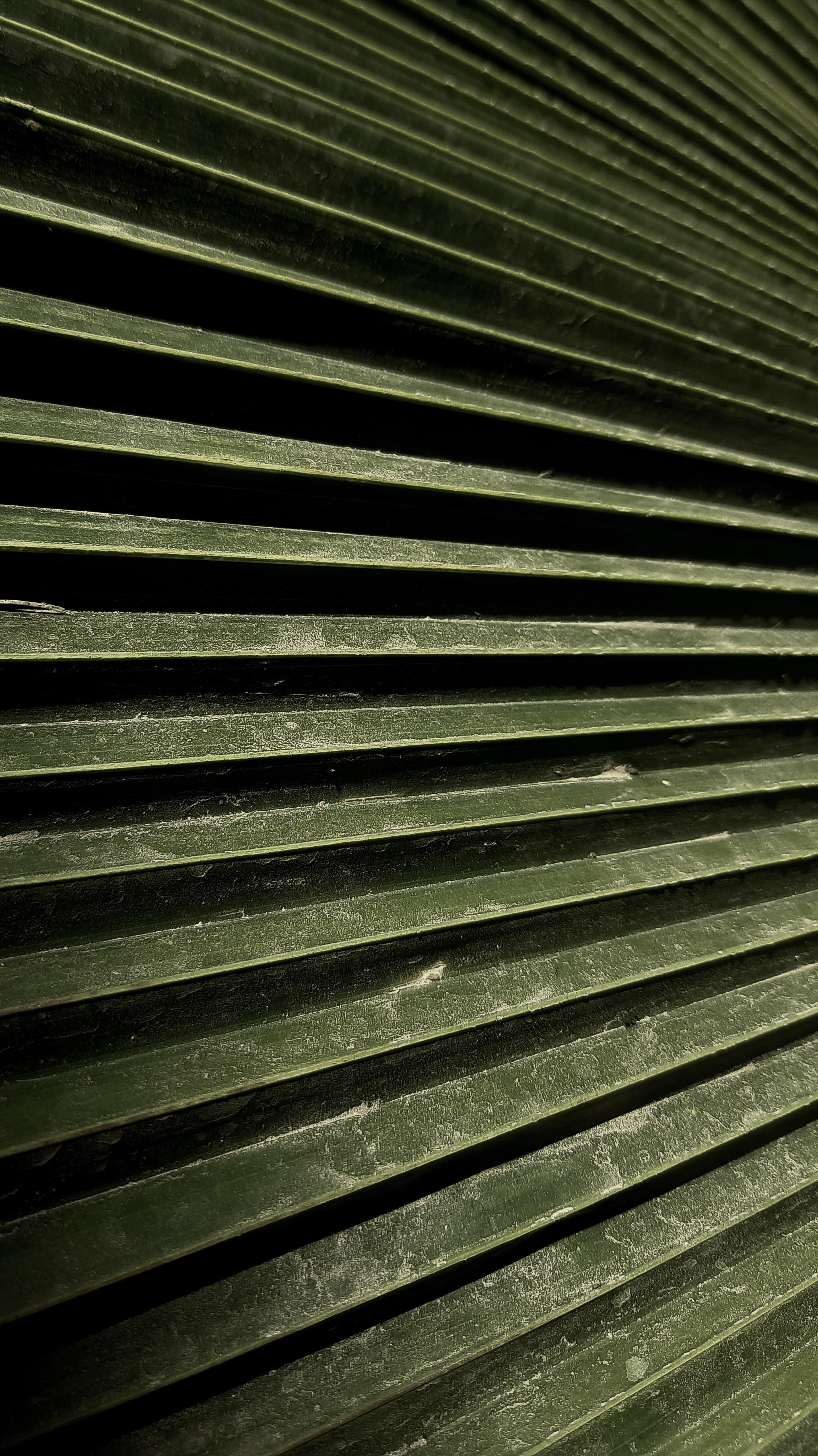 Shutter HD Iphone Android Wallpaper - by Rocky