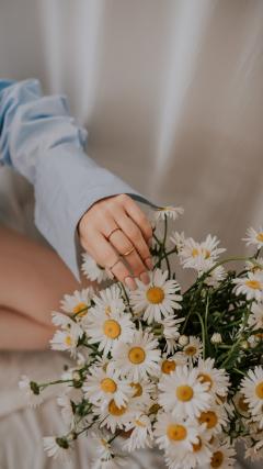 Beautiful Flowers HD Iphone Android Wallpaper