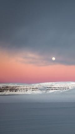 Snow Nature HD Iphone Android Wallpaper