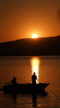Sun View HD Iphone Android Wallpaper