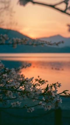 Sunset view HD Iphone Android Wallpaper